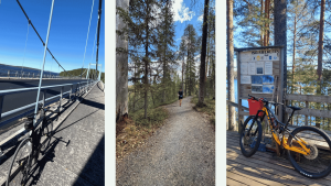 Logent wellbeing challenge brings employees together and supports UNICEF